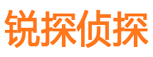 天元市私家侦探